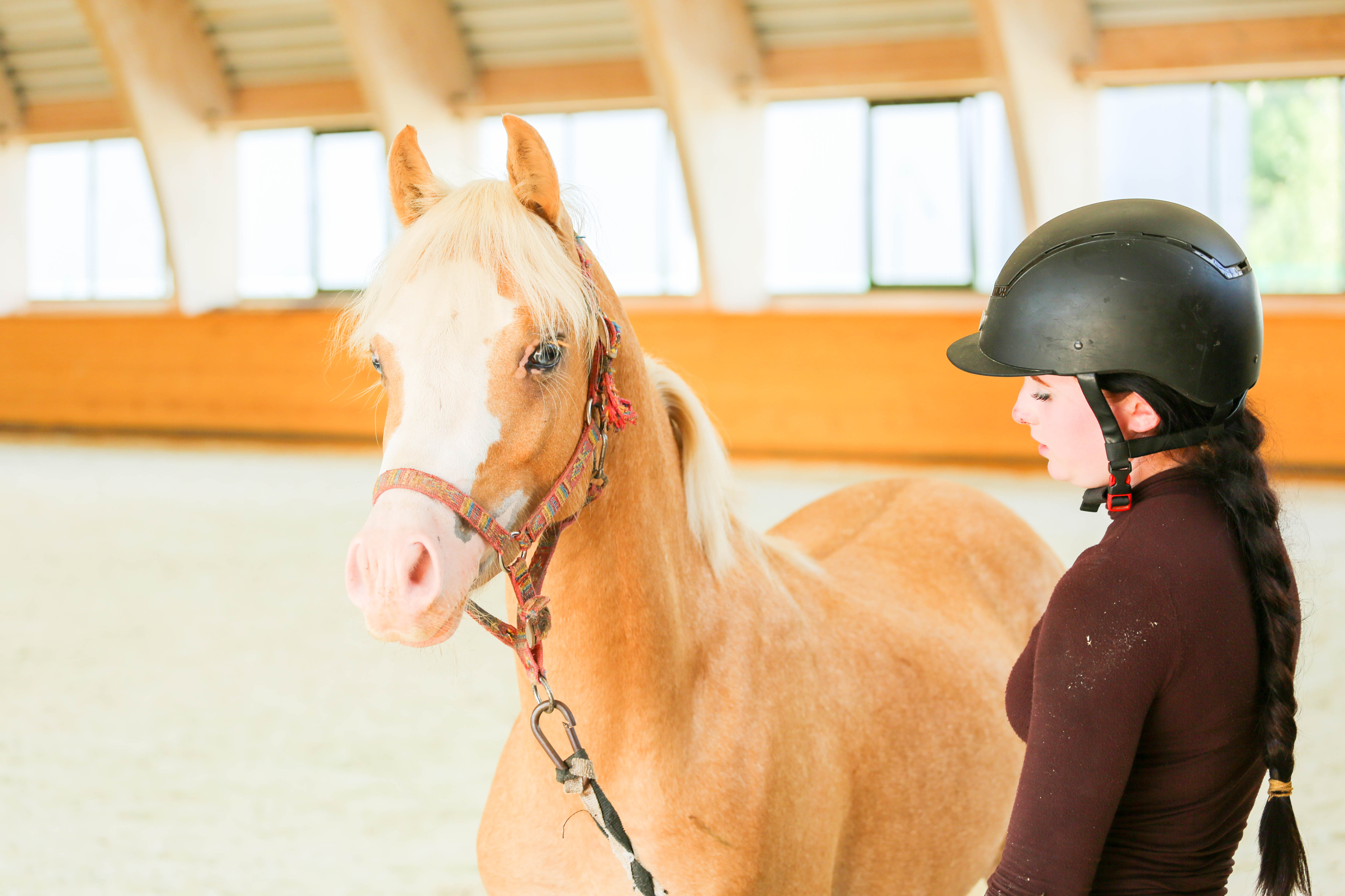 В конноспортивной школе Елабуги появились четыре молодых пони